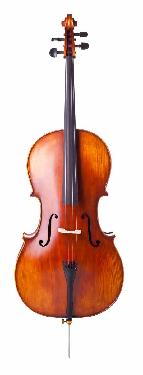large violin like stringed instrument